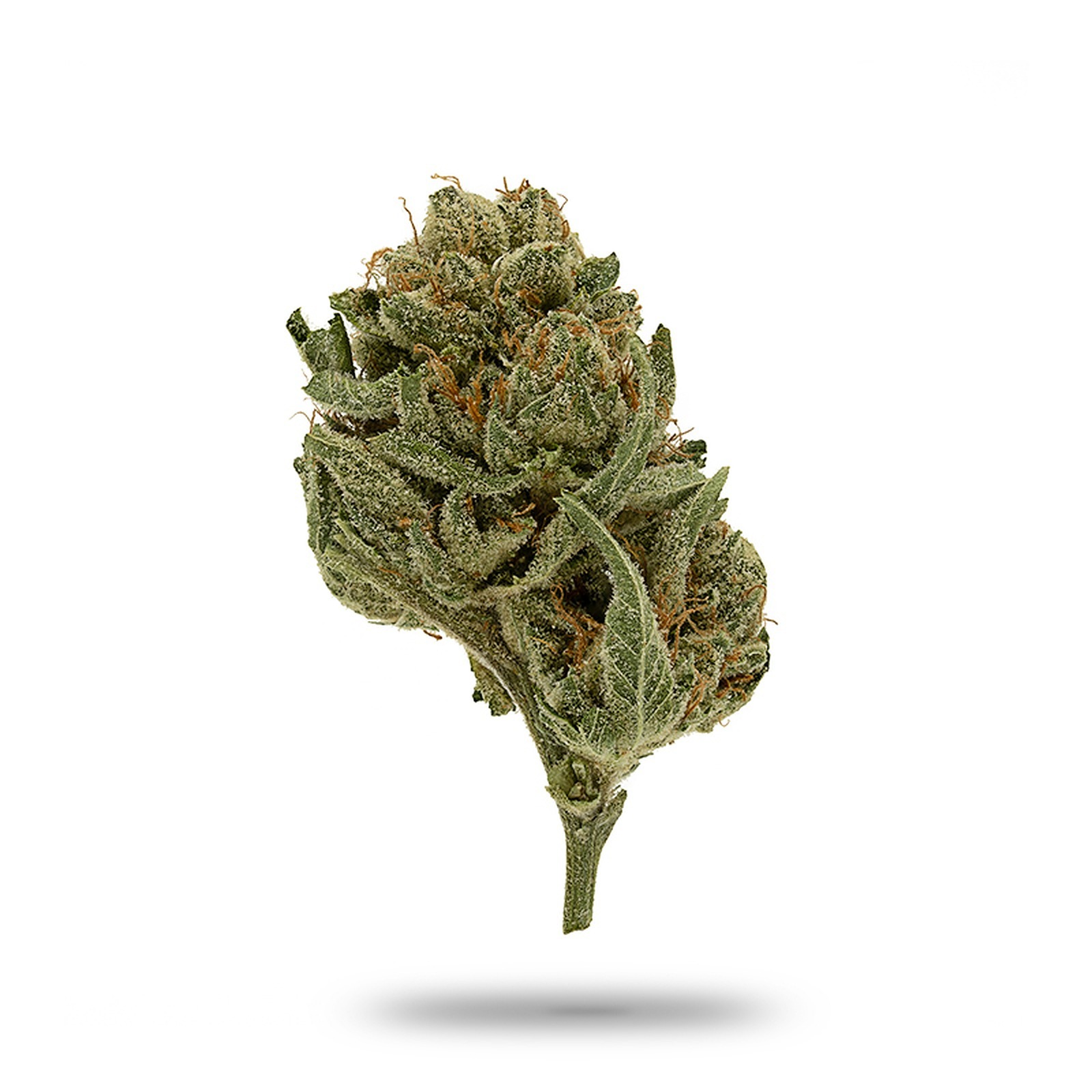 Emerald City Kush Flower - 1/8oz (Body: Indica)